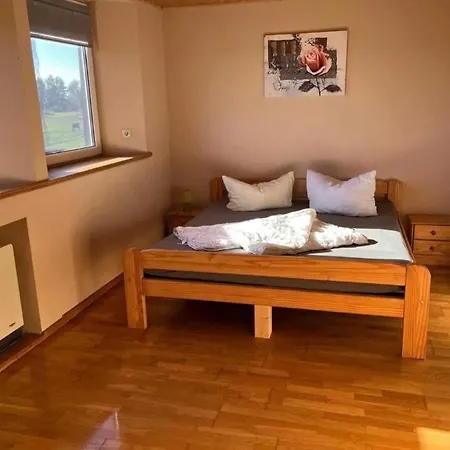 Ferien Auf Dem Pferdehof *